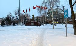 ARDAHAN/KARS - Doğu Anadolu'da soğuk hava