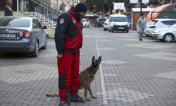 KAHRAMANMARAŞ - PAK bünyesindeki 4 arama kurtarma köpeği 74 kişinin kurtarılmasını sağladı (2)