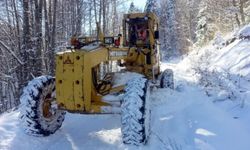 Sinop'ta 140 köy yolu kar nedeniyle kapalı