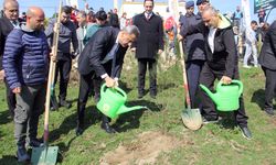 Sinop'ta depremde hayatını kaybedenler için hatıra ormanı oluşturuldu