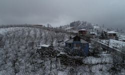 Fındık üreticileri bahçelerini soğuktan "dumanla" koruyacak