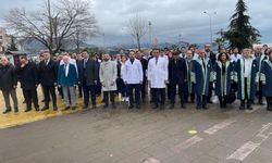 Giresun'da 14 Mart Tıp Bayramı törenle kutlandı