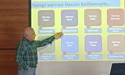 Kavak'ta Arıcılara arı bakımı ve hastalıkları semineri