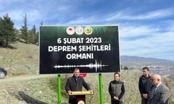 Tokat'ta  depremde hayatını kaybedenler için hatıra ormanı oluşturuldu
