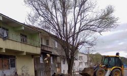Bingöl’de fırtına nedeniyle devrilen ağaçlar, belediye ekiplerince kaldırılıyor