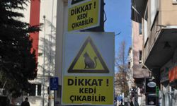Hız yapan duyarsız sürücüler için “Dikkat Kedi Çıkabilir” yazılı önlem