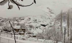 İlkbahar beklenirken kış geldi