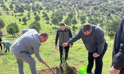 Sarıgöl’de Nevruz Bayramı kutlamaları