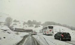 Tunceli’de kar yağışı etkili oluyor