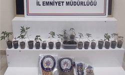 Zonguldak’ta uyuşturucu operasyonu: 1 gözaltı