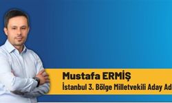 Mustafa Ermiş, meclis yolunda