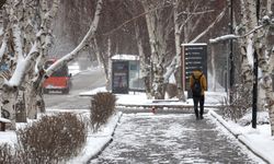 ERZURUM - Doğu Anadolu ilkbaharda beyaza büründü