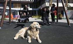 KONYA - Özel çocuklar deprem travmasını özel eğitimli köpek "Max" ile atlatmaya çalışıyor