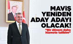 Maviş Sinop'tan yeniden aday adayı olacak