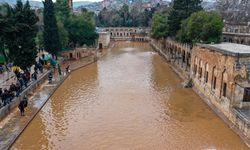 ŞANLIURFA - Sağanak nedeniyle taşan Balıklıgöl'de sular çekildi