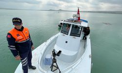ŞANLIURFA - Sele kapılan tırdaki sürücü için arama kurtarma çalışması sürüyor