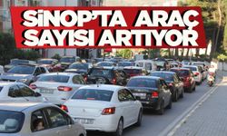 Sinop’ta araç sayısı artmaya devam ediyor