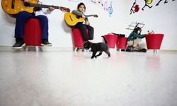 Gençlik Merkezinin sahiplendiği kedi "Karamel" ile 4 yavrusu öğrencilere neşe kaynağı oldu