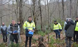 Kastamonu'da kestane ormanlarında üretimin artırılması hedefleniyor