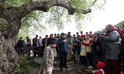 HATAY - Milli Savunma Bakanı Akar, Samandağ'ın köylerinde incelemelerde bulundu