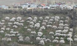 IĞDIR - Iğdırlı kadınların tandır başında zorlu lavaş üretim mesaisi