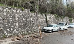 KARABÜK - Kuvvetli rüzgar nedeniyle devrilen ağaç araçlara zarar verdi