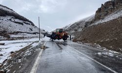 Van-Bahçesaray kara yolu tedbir amaçlı kapatıldı