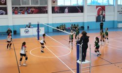 Ayancık'ta "19 Mayıs" dolayısıyla spor müsabakaları yapıldı