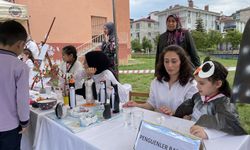 Ayancık'ta Bilim Şenliği düzenlendi