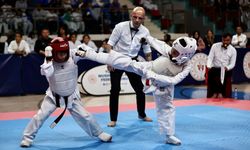 Budokaido Kumite ve Kata Türkiye Şampiyonası, Düzce'de devam ediyor