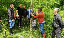 Ceviz ve kestane ağaçlarında örnek aşılama çalışması anlatıldı