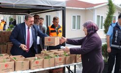 Kastamonu Belediyesi ata tohumundan yetiştirilen 180 bin fide dağıttı