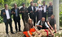 Erdoğan kazanınca 83 yaşındaki nine koç kestirdi