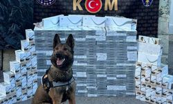 ERZİNCAN - Gümrük kaçağı sigara ele geçirildi, 1 şüpheli yakalandı