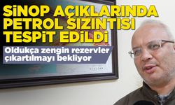 Sinop açıklarında petrol sızıntısına rastlandı