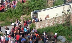 TRABZON - Belediye otobüsü şarampole yuvarlandı