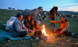 VAN - Terörden arındırılan yaylalarda küçükbaş hayvan ve kuş sesleri yankılanıyor