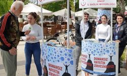 Sinop'ta “Dünya Tütünsüz Günü” etkinliği