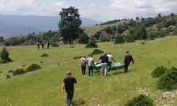 Amasya'da 1000 kınalı keklik doğaya bırakıldı