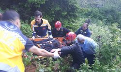 Artvin'de yayla yolunda uçuruma yuvarlanan kamyonetin sürücüsü öldü