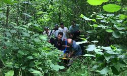 Rize'de ilkel teleferikten düşen kadın yaralandı