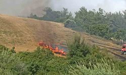 Adana’da anız yangını ağaçlara sıçradı