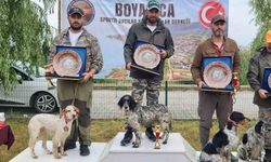 Avcı köpekler ilk sırayı almak için yarıştı
