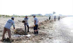 MERSİN - Deniz kaplumbağalarının yuvalama alanları temizlendi