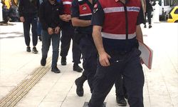 ORDU - Hırsızlık şüphelisi 2 kardeş tutuklandı