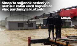 Sinop'ta mahsur kalan evcil hayvanlar kurtarıldı