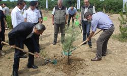 Sinop'ta 15 Temmuz şehitleri için 251 fidan toprakla buluşturuldu