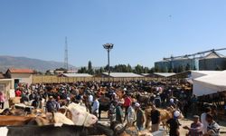 Amasya'da şap hastalığı nedeniyle hayvan pazarları kapatıldı