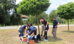 Amasya'da trafik kazasında 5 kişi yaralandı