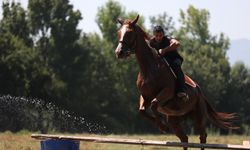 Düzce'de sıcaktan etkilenen atlar yıkanarak serinletildi